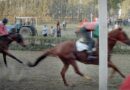 Torrita di Siena: il 5 maggio  in loc. Capannone tornano i cavalli con  la storica corsa in onore di San Macario  che si svolgerà in versione rinnovata